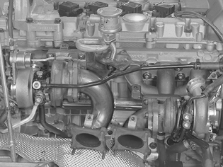 GLL125925