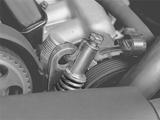GLL125943