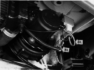 GLL125992