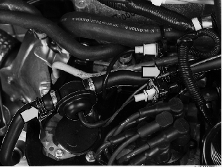 GLL125995