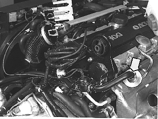 GLL125996