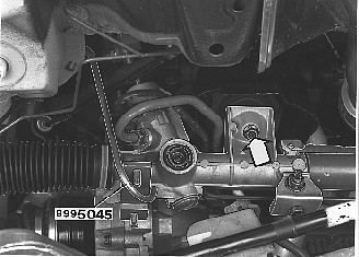 GLL126116