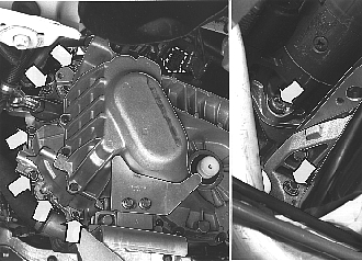 GLL126118