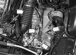 GLL126129