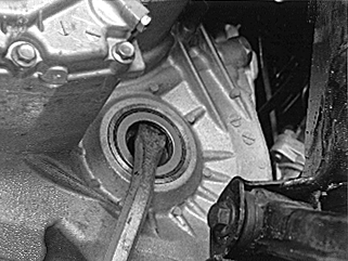 GLL126189