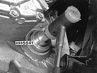 GLL126190
