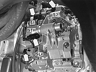 GLL126195