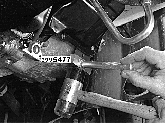 GLL126196