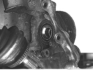 GLL126456