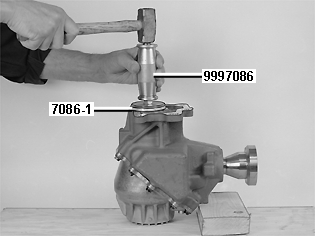 GLL129170