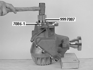 GLL129171