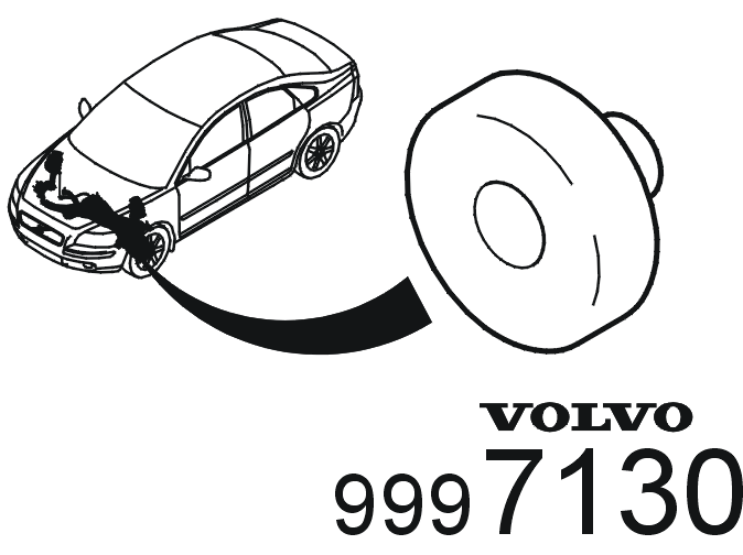 GLL146925