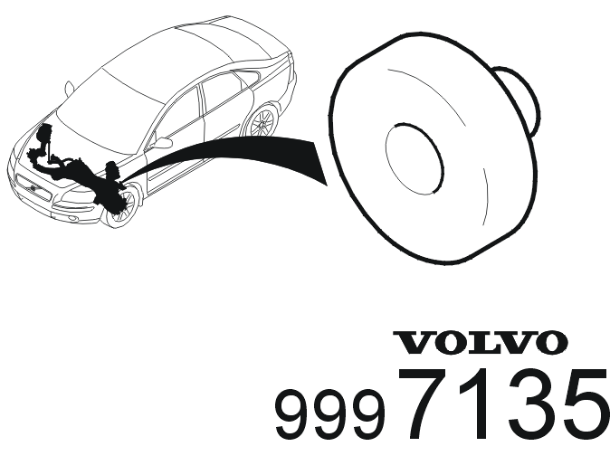 GLL146931