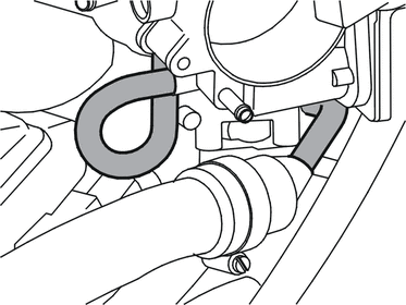 GLL149935