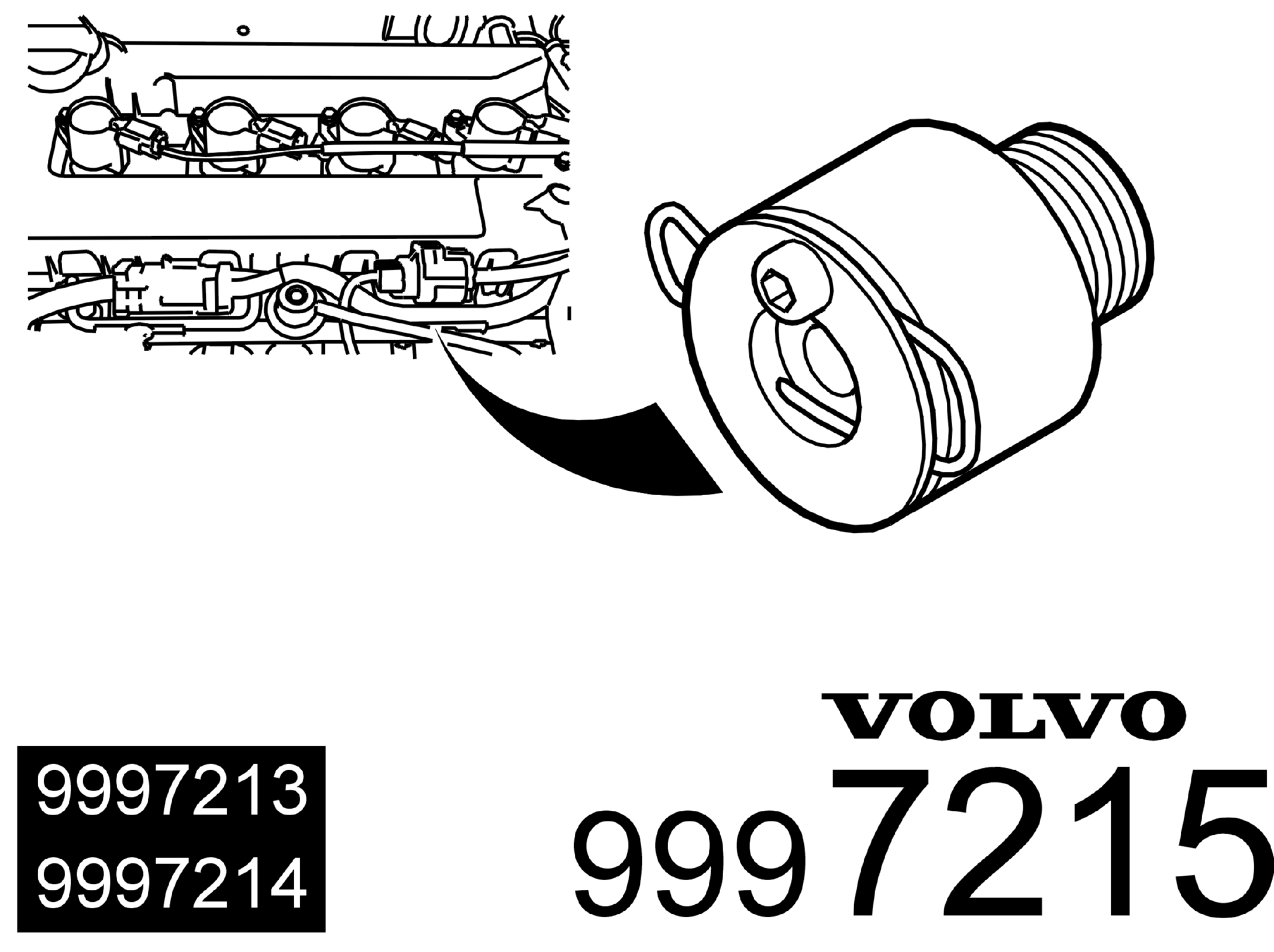 GLL154744