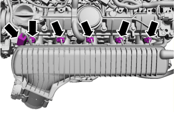 GLL155517
