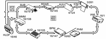 GLL164138