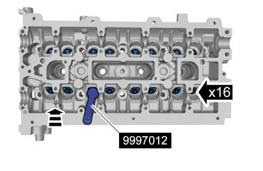 GLL172291
