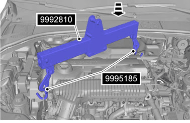 GLL172653