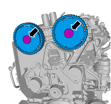 GLL172774