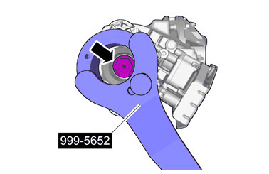 GLL173155
