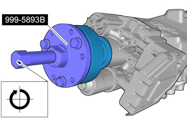 GLL173159