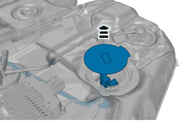 GLL173480