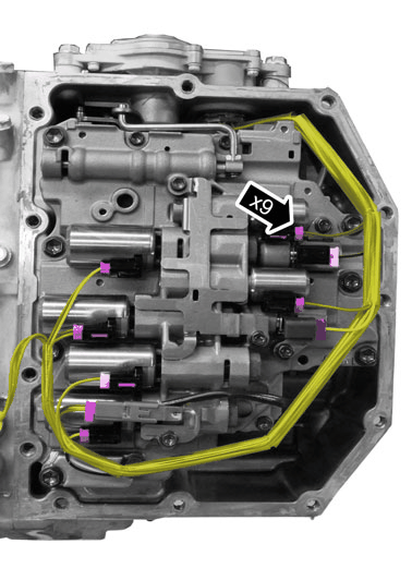 GLL174348