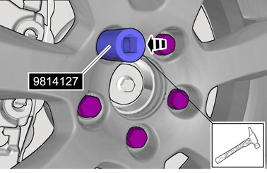 GLL178644