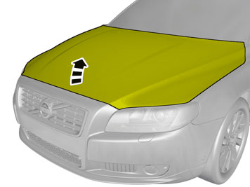 GLL180051