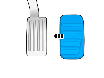 GLL181609
