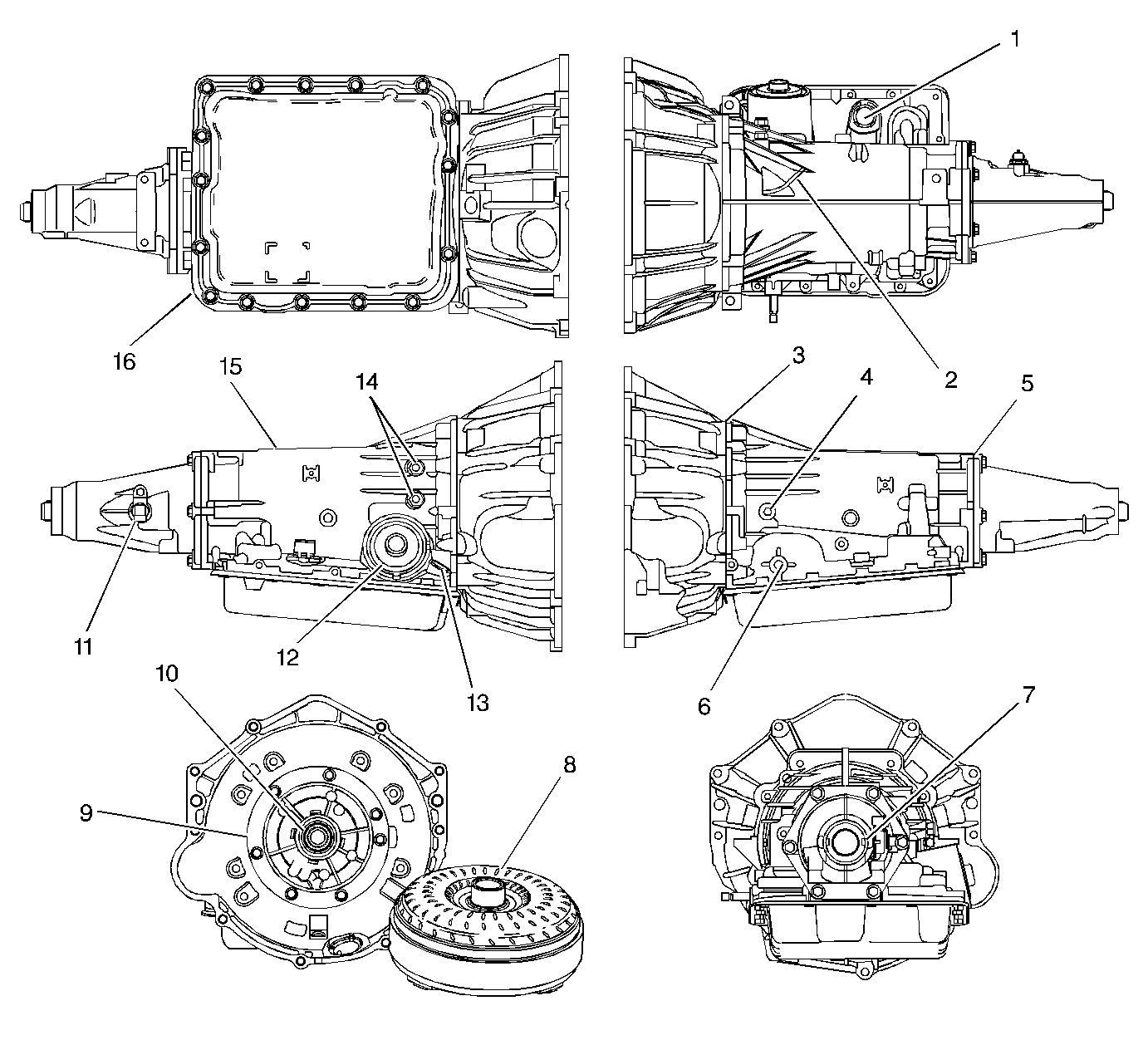 GM208613