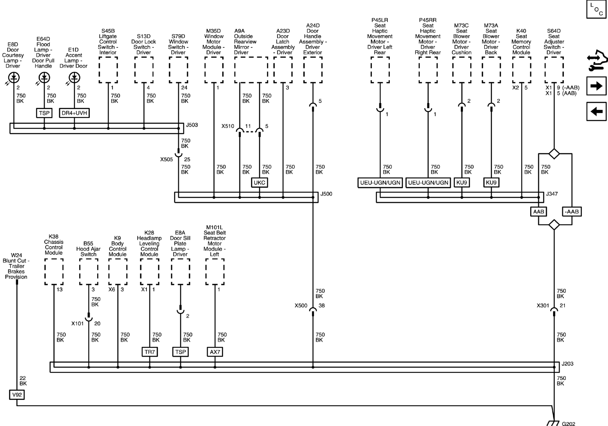 GM4909313