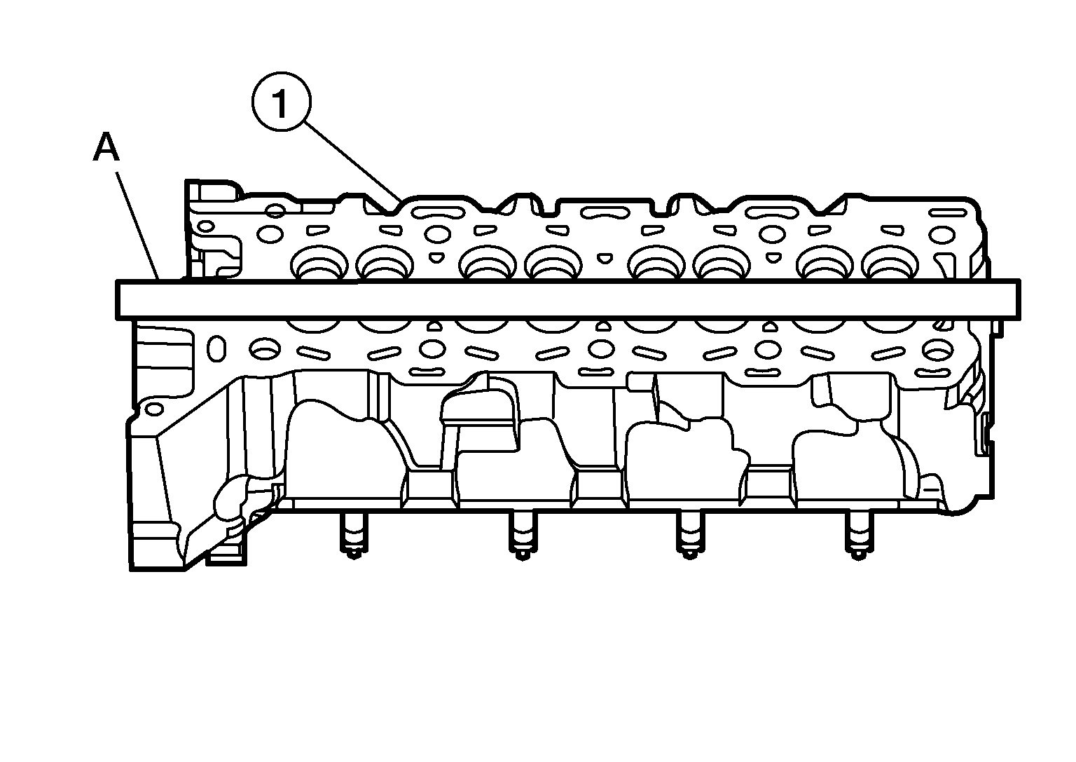 GNSALBIA2311Z-311