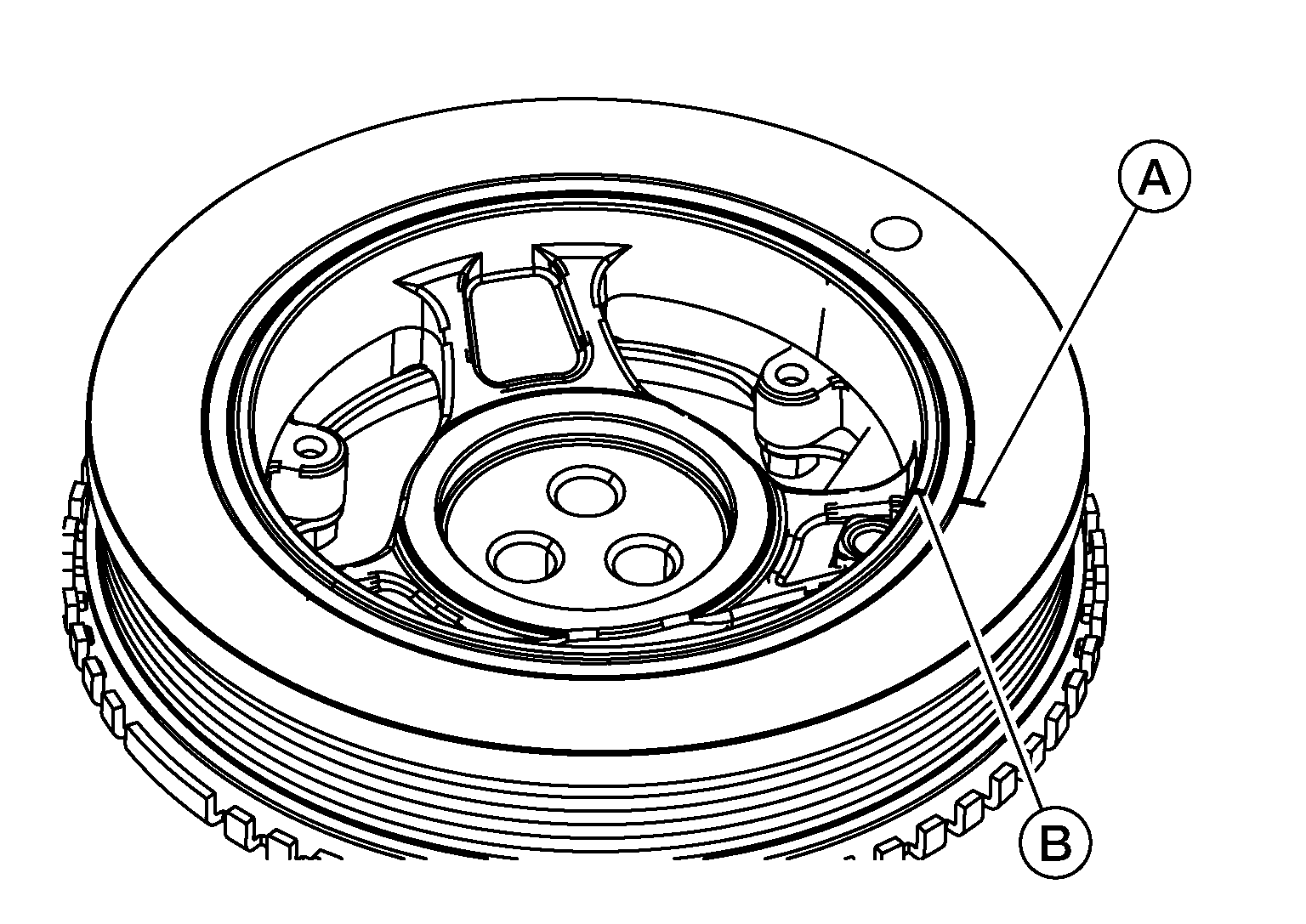 GNSALBIA2519Z-519