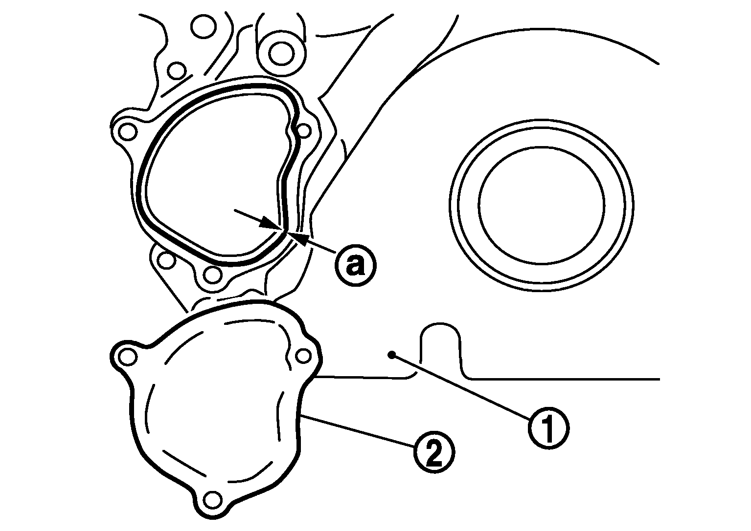 GNSJPBIA2113Z-113