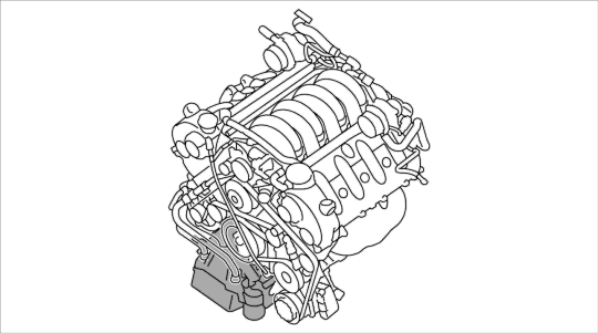 GP00008558