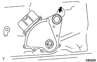GTY101045