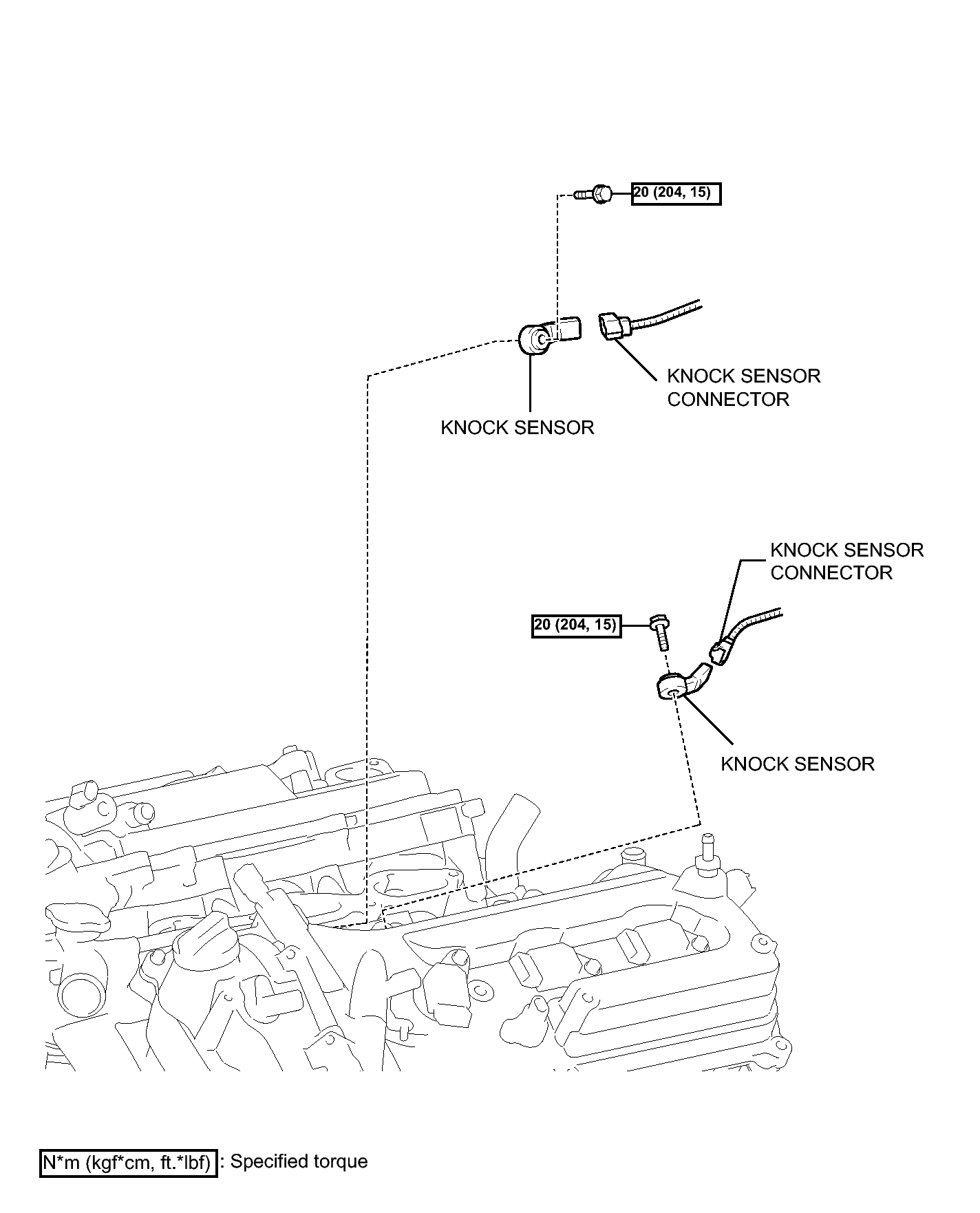 GTY146196