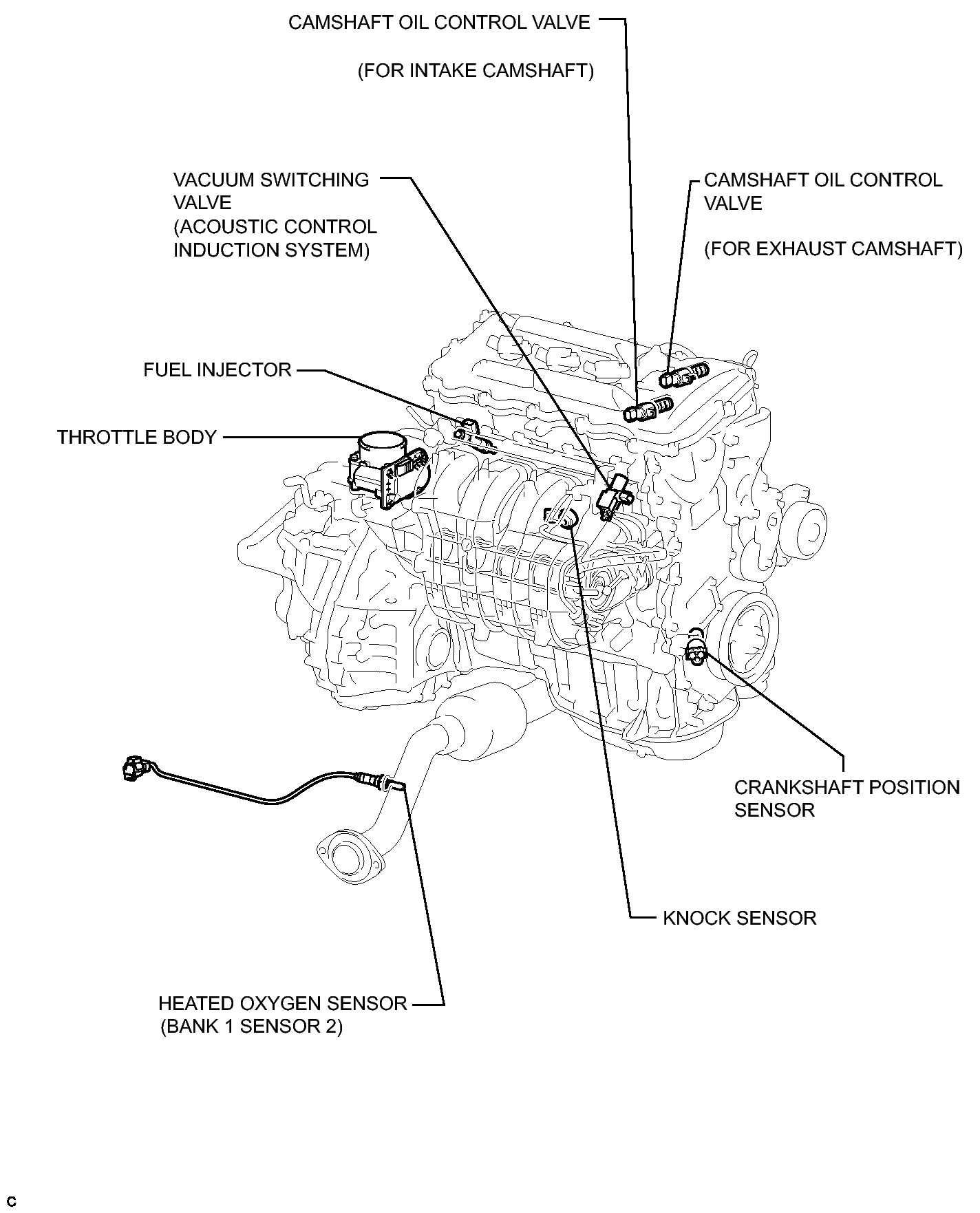 GTY195247