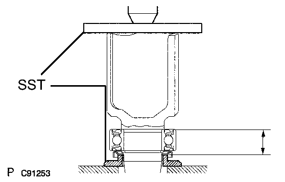 GTY208982
