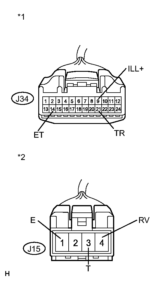 GTY256752