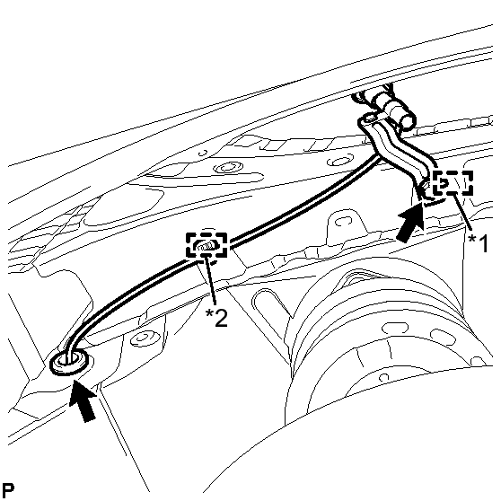 GTY300495