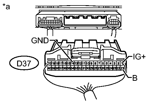 GTY300528