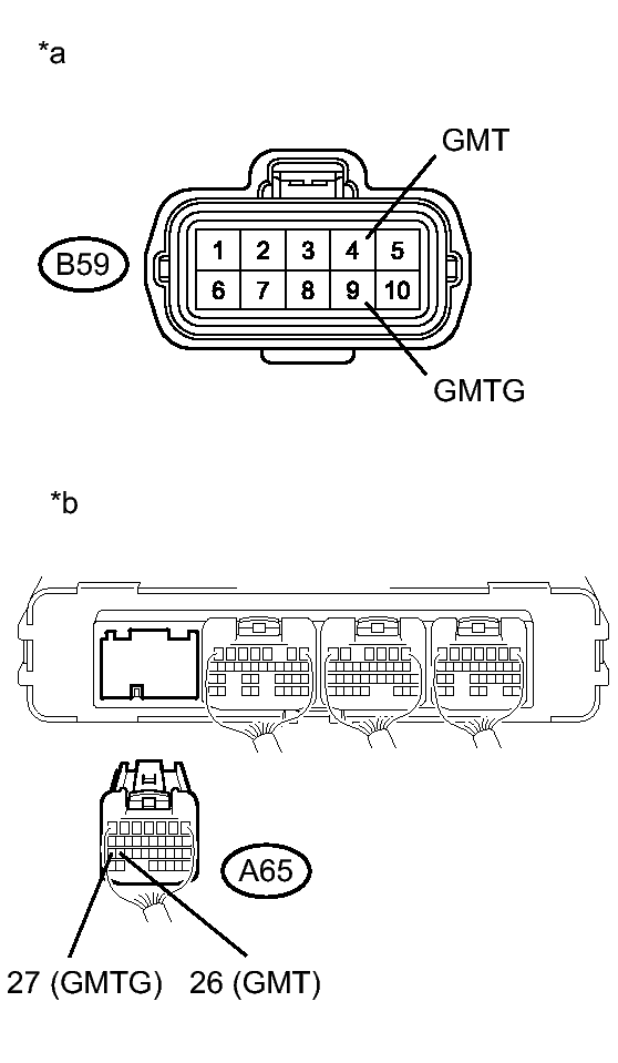 GTY306369