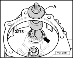 GW00005891