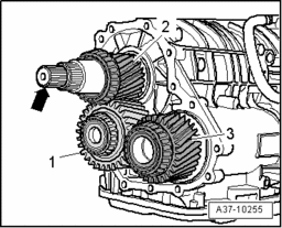 GW00006295