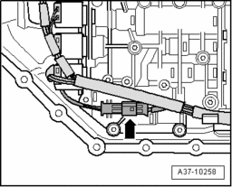 GW00006303