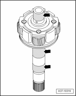 GW00006438