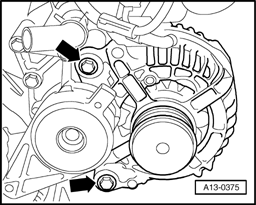 GW00017019